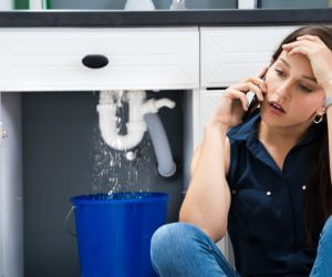 About Plumbers Pros Fenwick, WV